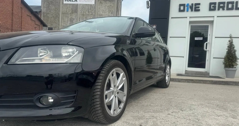 Audi A3 cena 26200 przebieg: 255000, rok produkcji 2009 z Opole małe 191